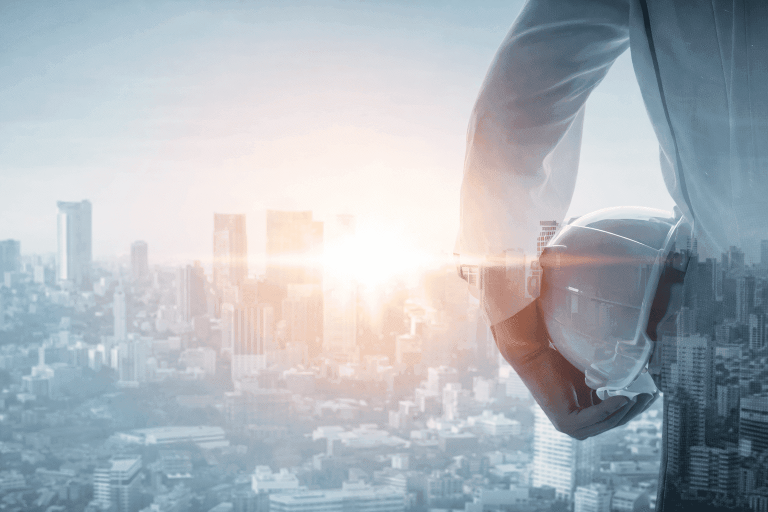 Project Management & Development Consulting