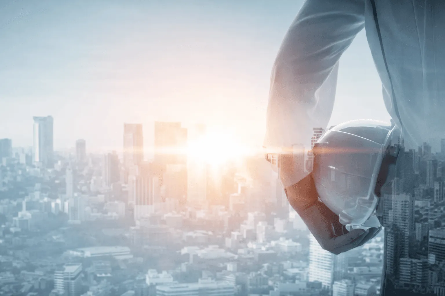 Project Management & Development Consulting